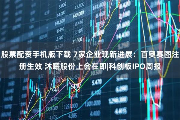股票配资手机版下载 7家企业现新进展：百奥赛图注册生效 沐曦股份上会在即|科创板IPO周报